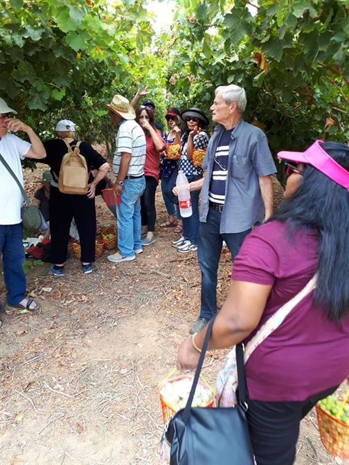 קבוצת מתנ"ס קולייר מאילת במלון לאונרדו אשדוד המפנק !