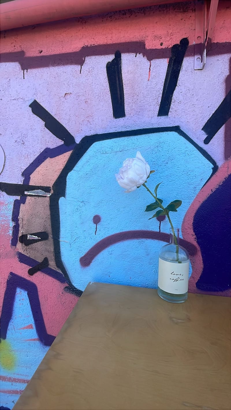 אלמנות חיל החימוש כובשות את תא