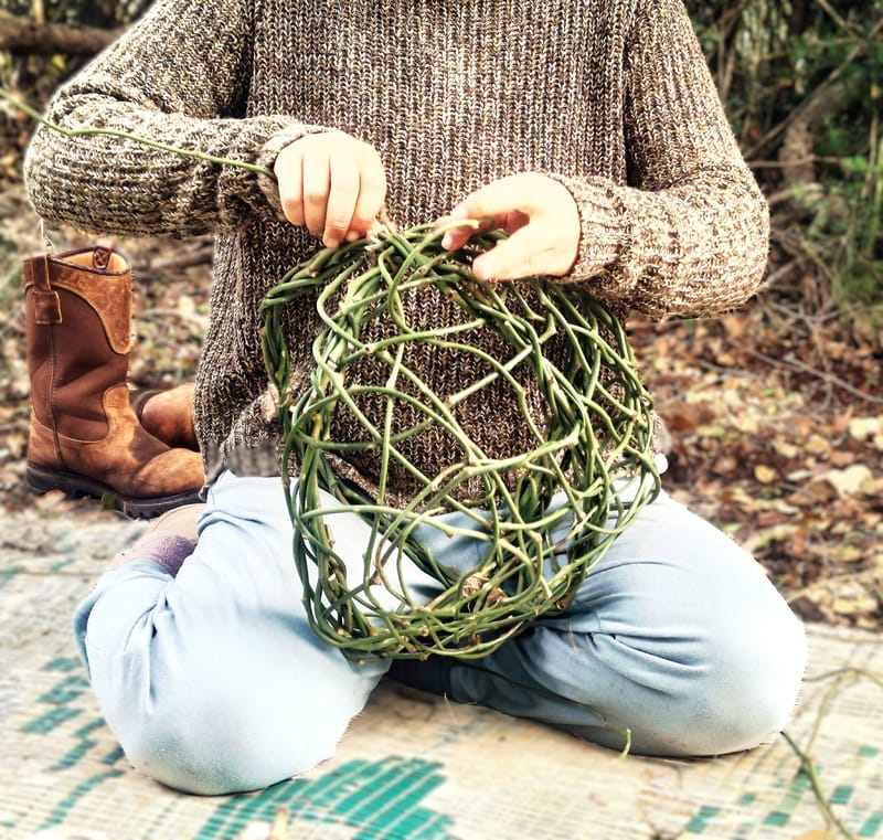 סדנת קליעת פרא - סל קיסוסית