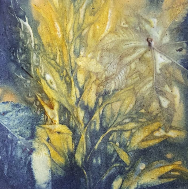 סדנת הדפס בוטני על נייר