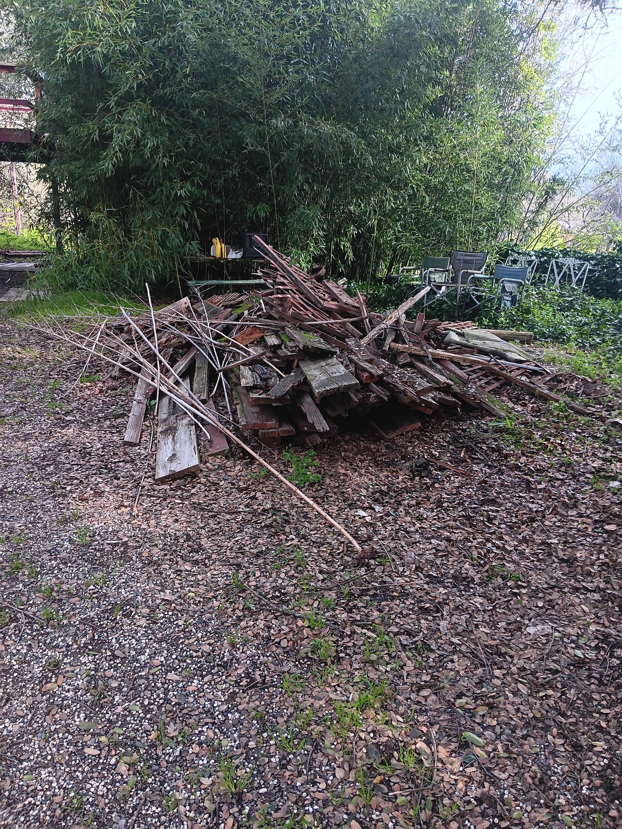 Another Clean up in Newcastle, Ca.
