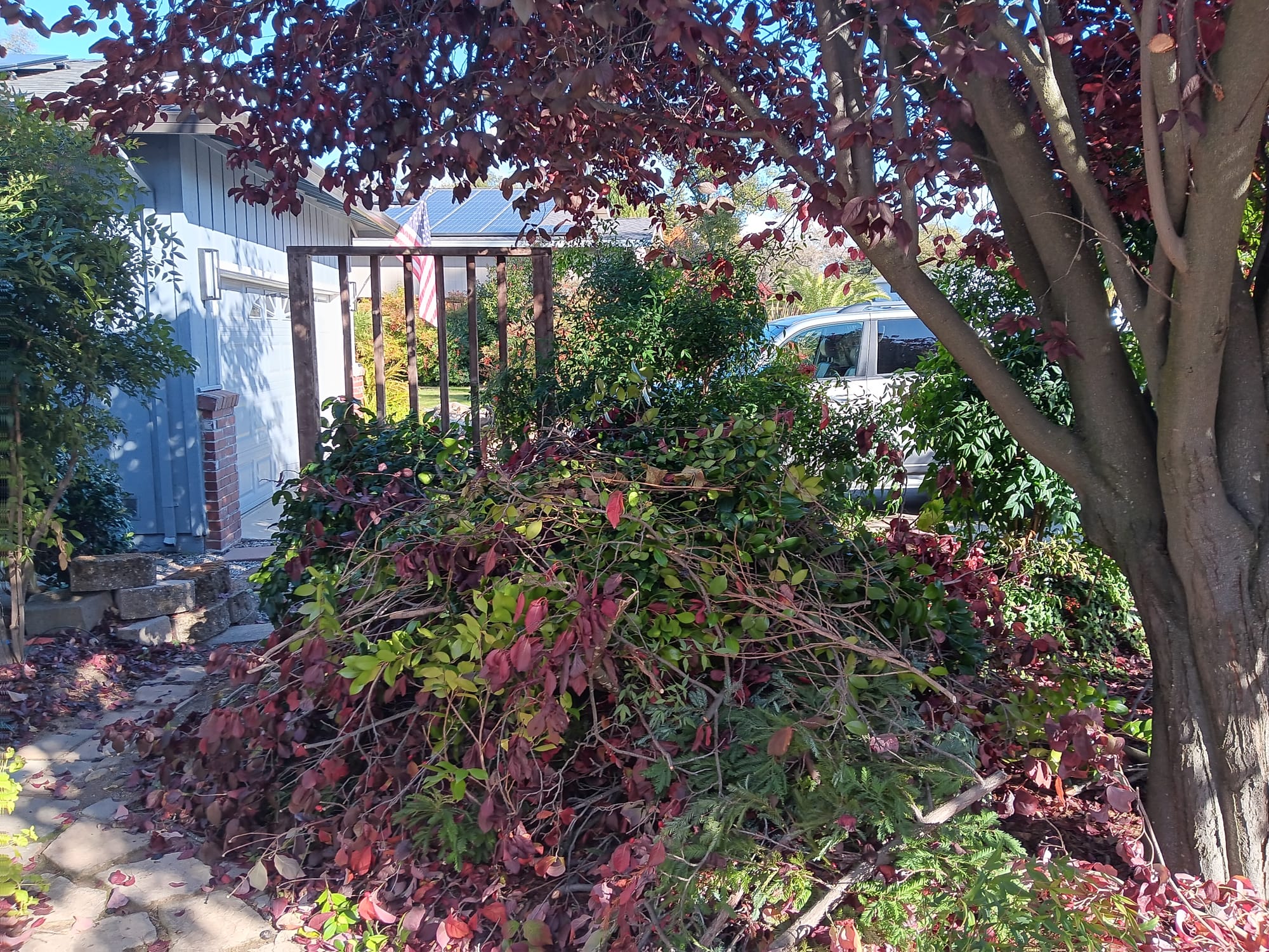 Green Waste pickup in Granit Bay Ca. Before