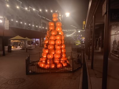 Nice fall night in Nevada County