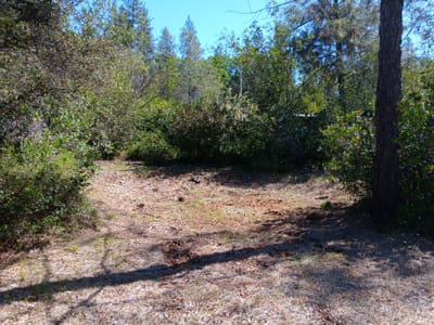 Colfax, Ca. Another Happy Customer!!!