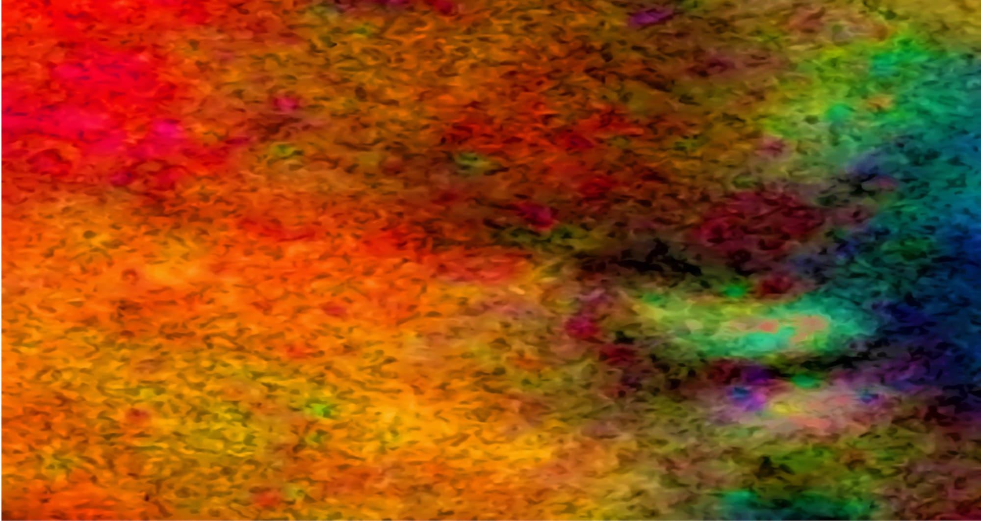 The Light in the Darkness