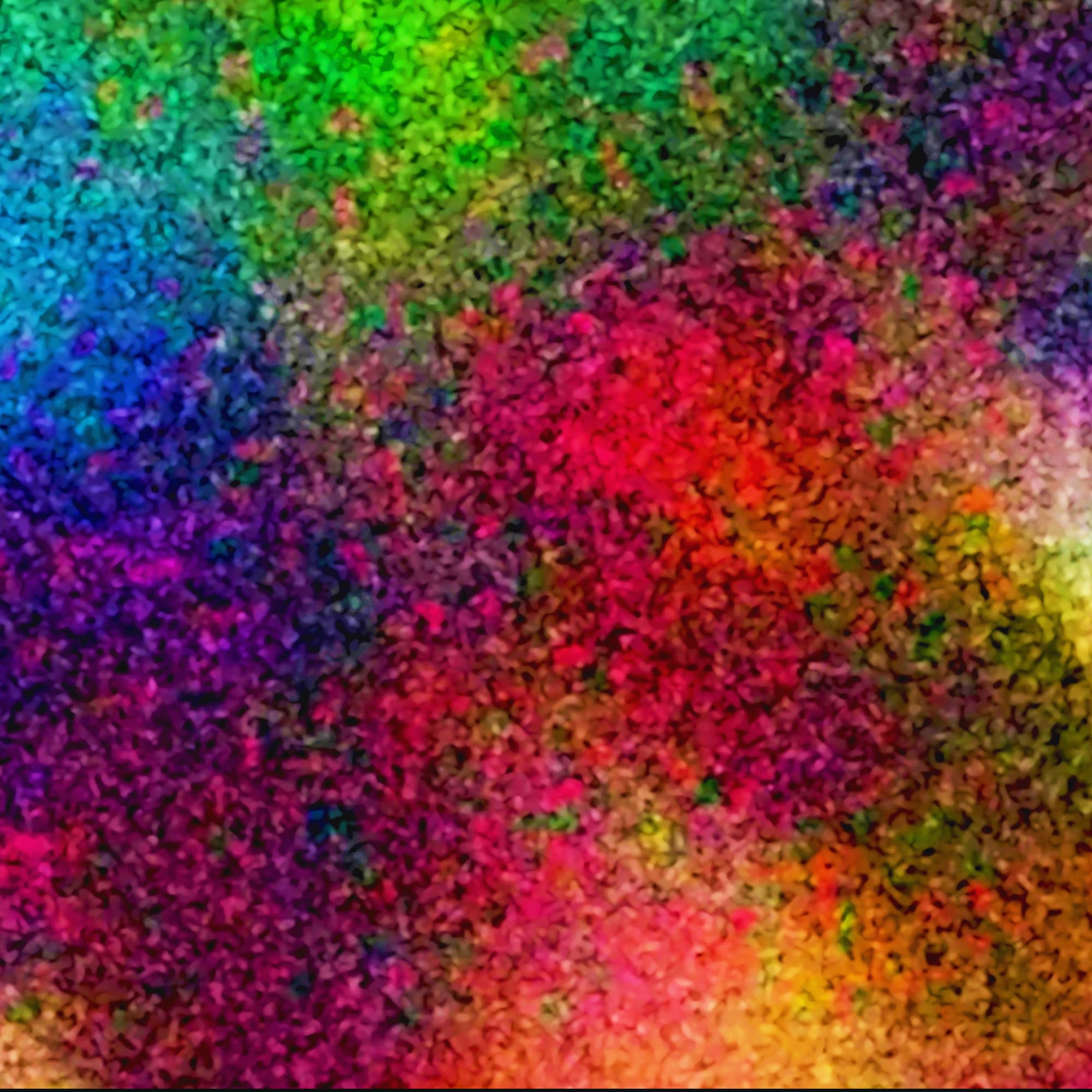 The Light in the Darkness