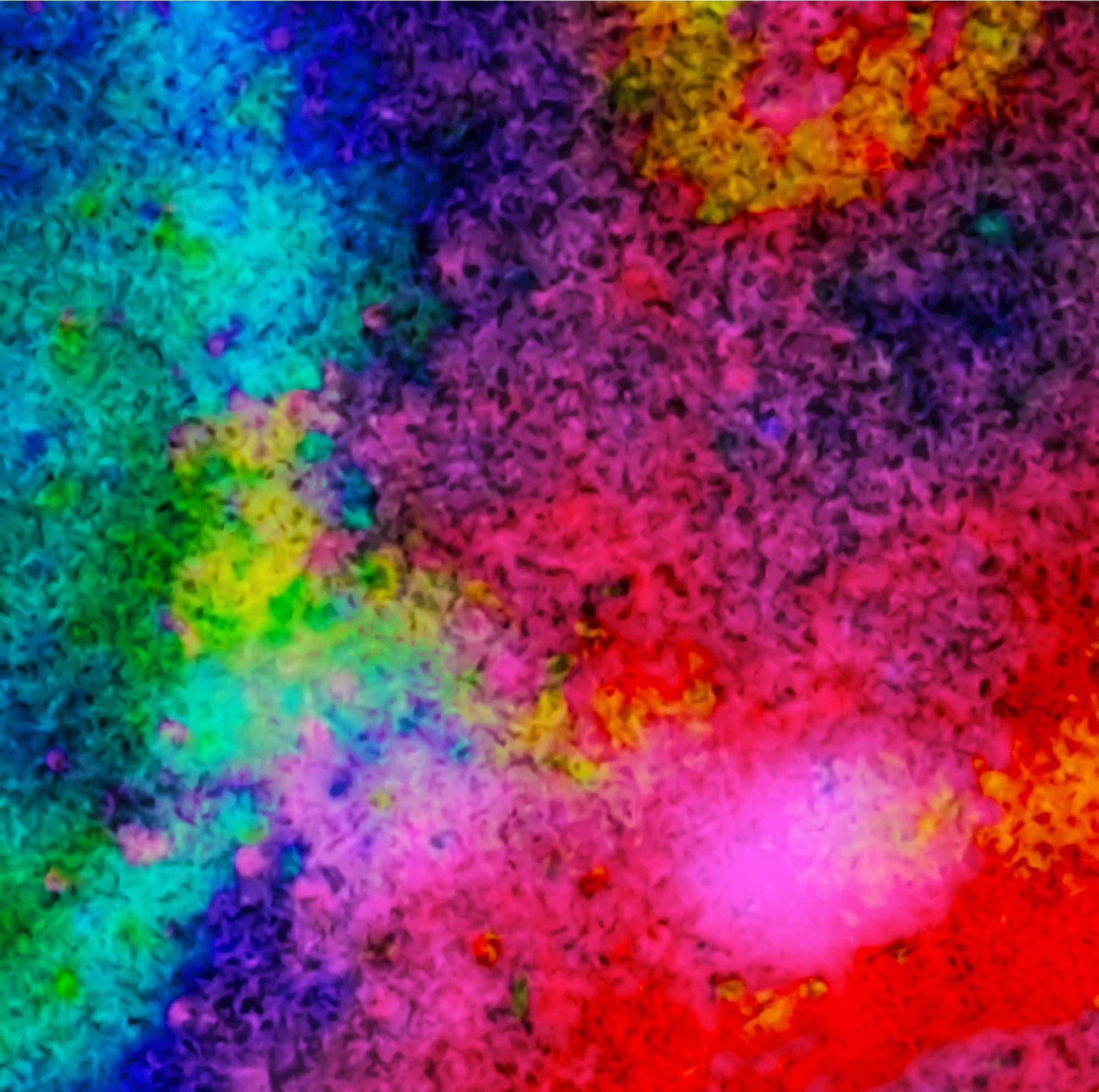 The Light in the Darkness