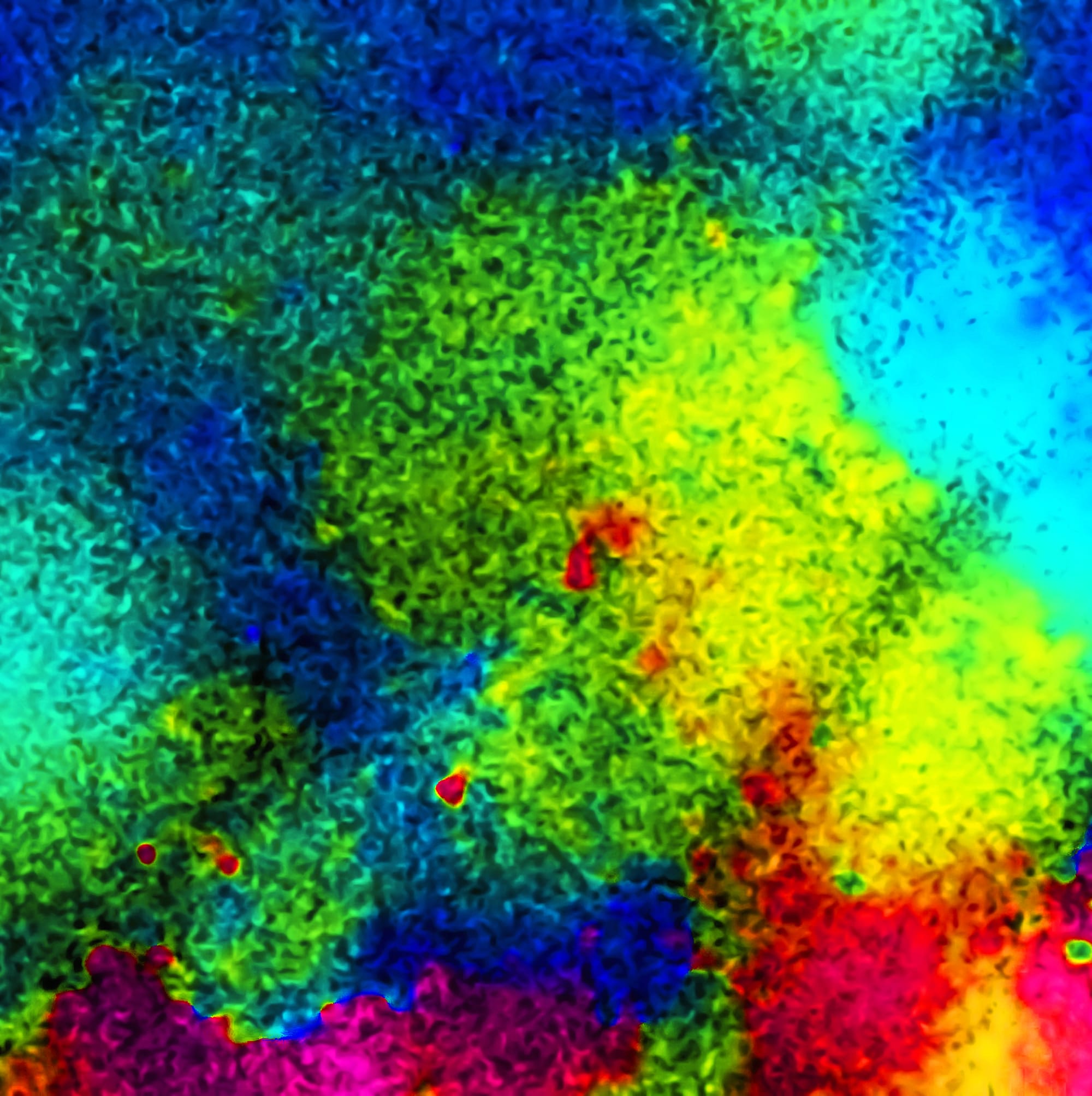 The Light in the Darkness