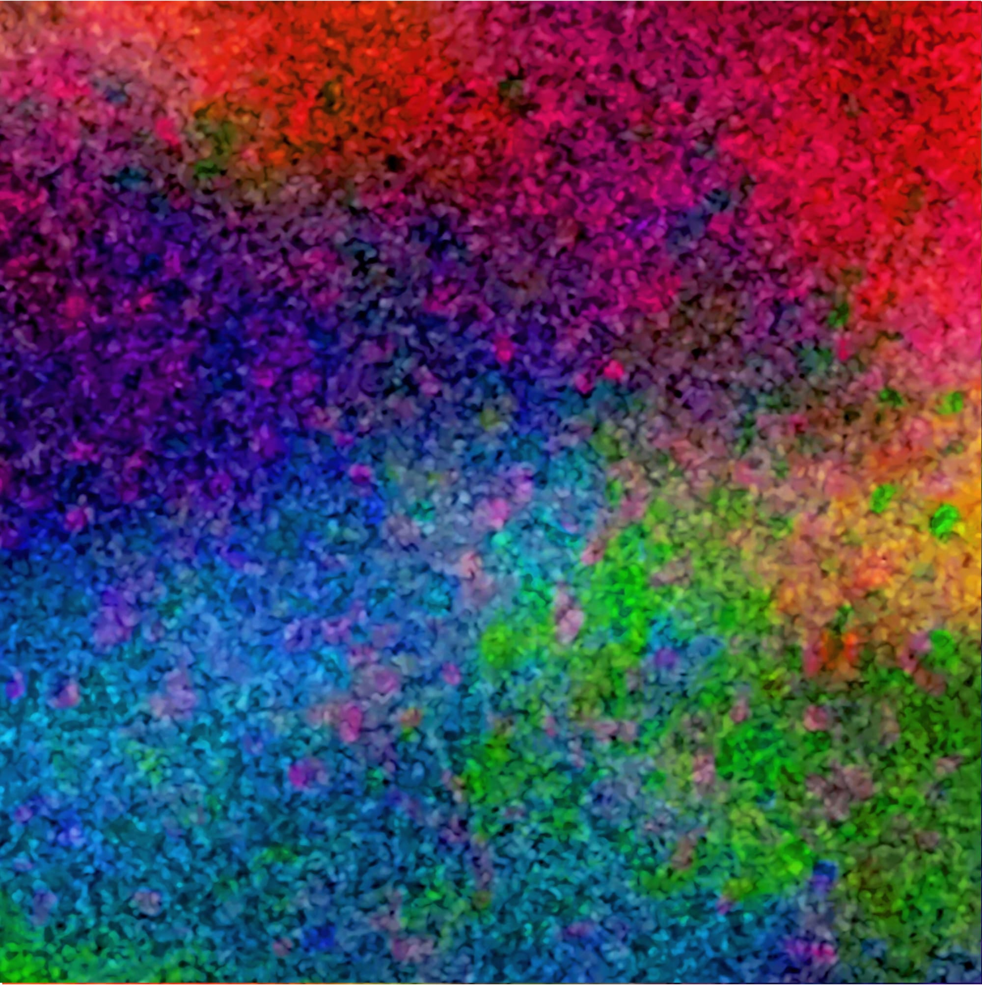 The Light in the Darkness