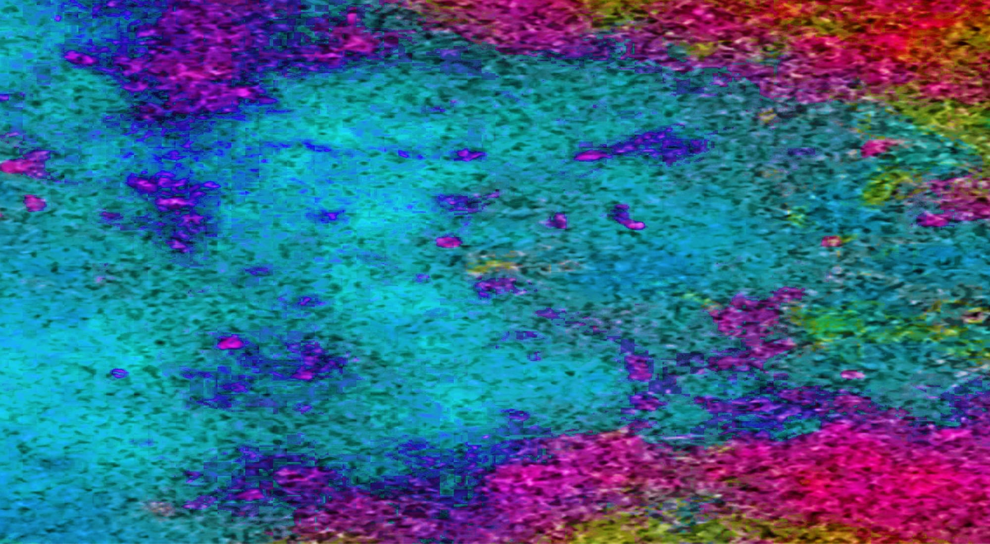 The Light in the Darkness