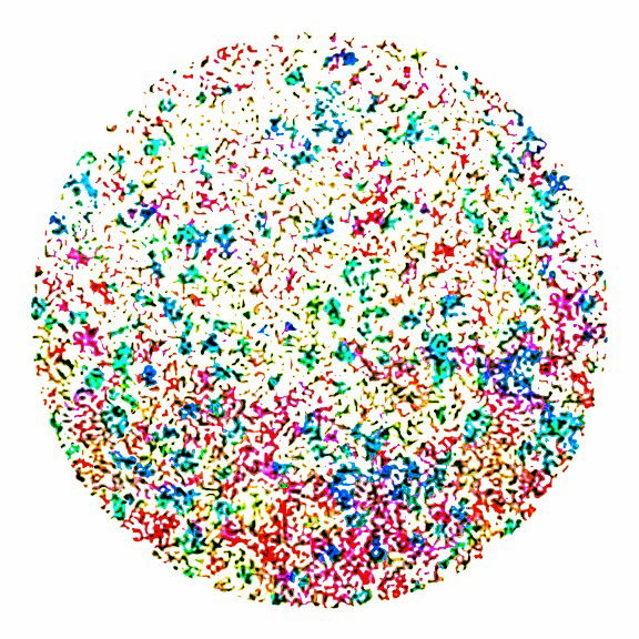 The Light in the Darkness