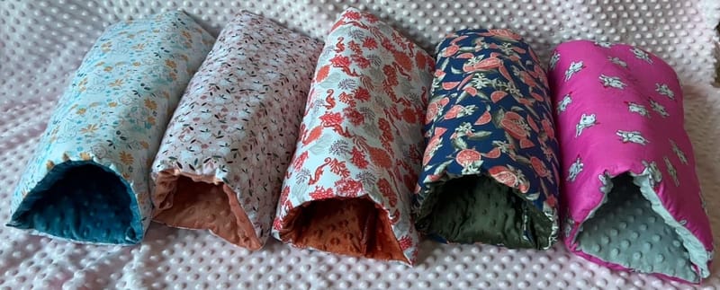 Dodos en Forme de Tunnel