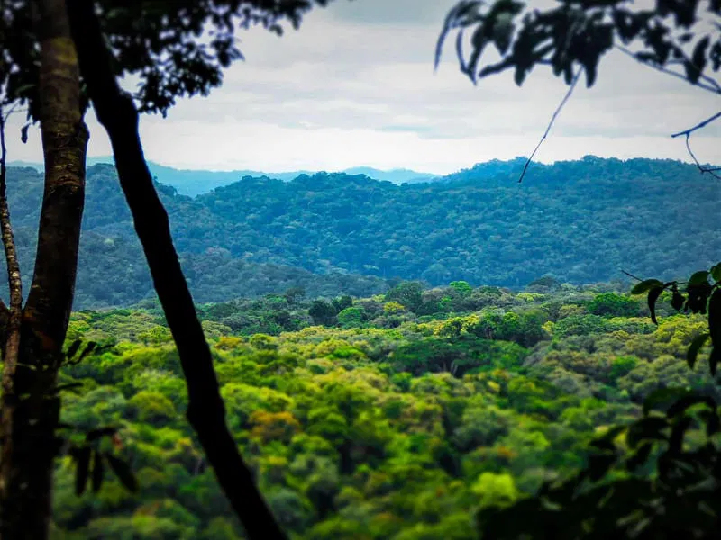 GOLA RAINFOREST NATIONAL PARK