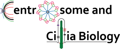 Laboratory of Centrosome and Cilia Biology