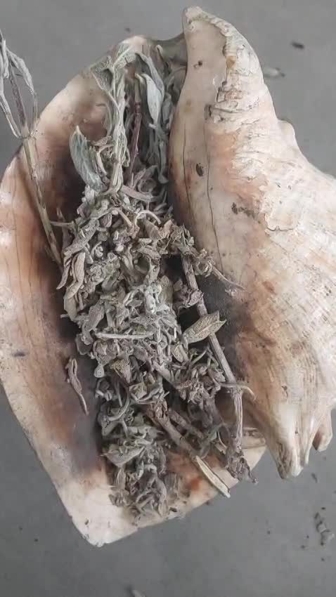 עדנה אור-אל