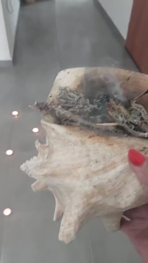 עדנה אור-אל