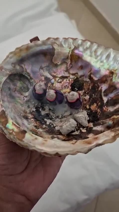 עדנה אור-אל