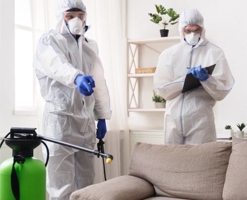 شركة مكافحة حشرات بجدة