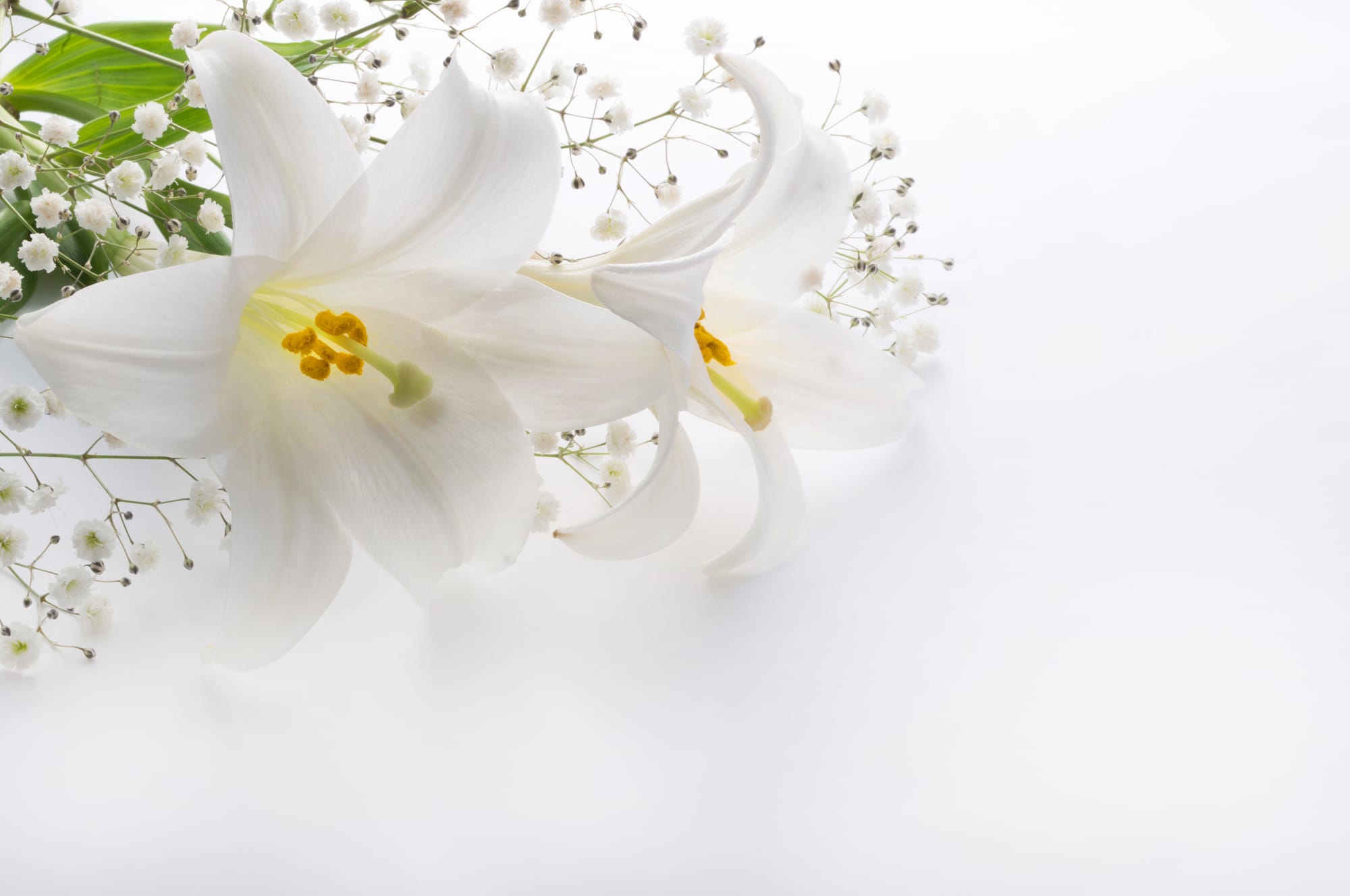 How to Choose the Right Funeral Celebrant