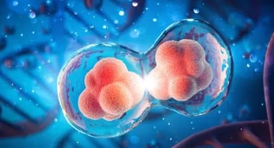 The Acellular Therapy Process: A Guide from Consultation to Administration