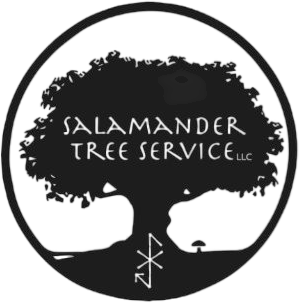 Salamander LLC