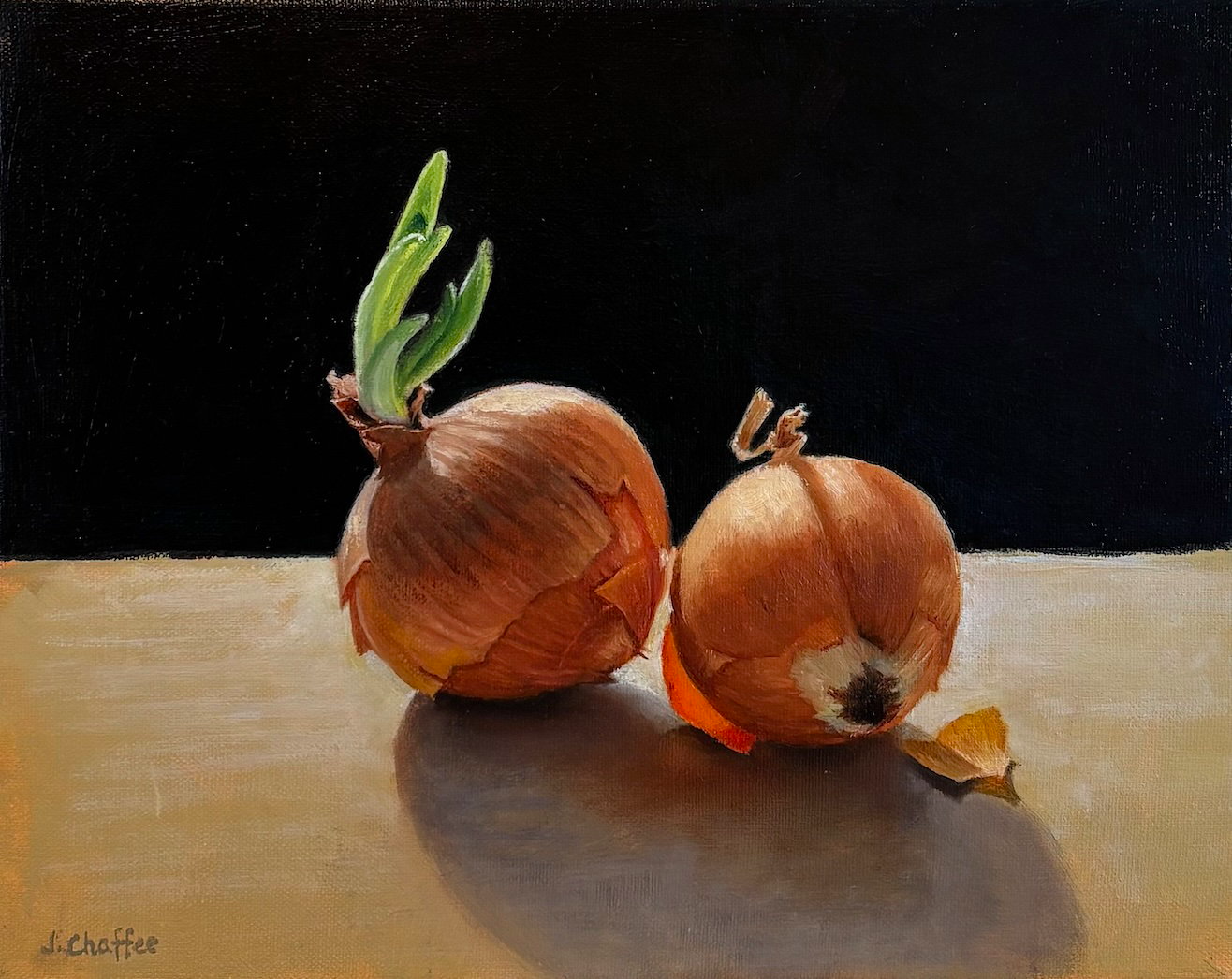 Germination, 2 Onions in Winter Light