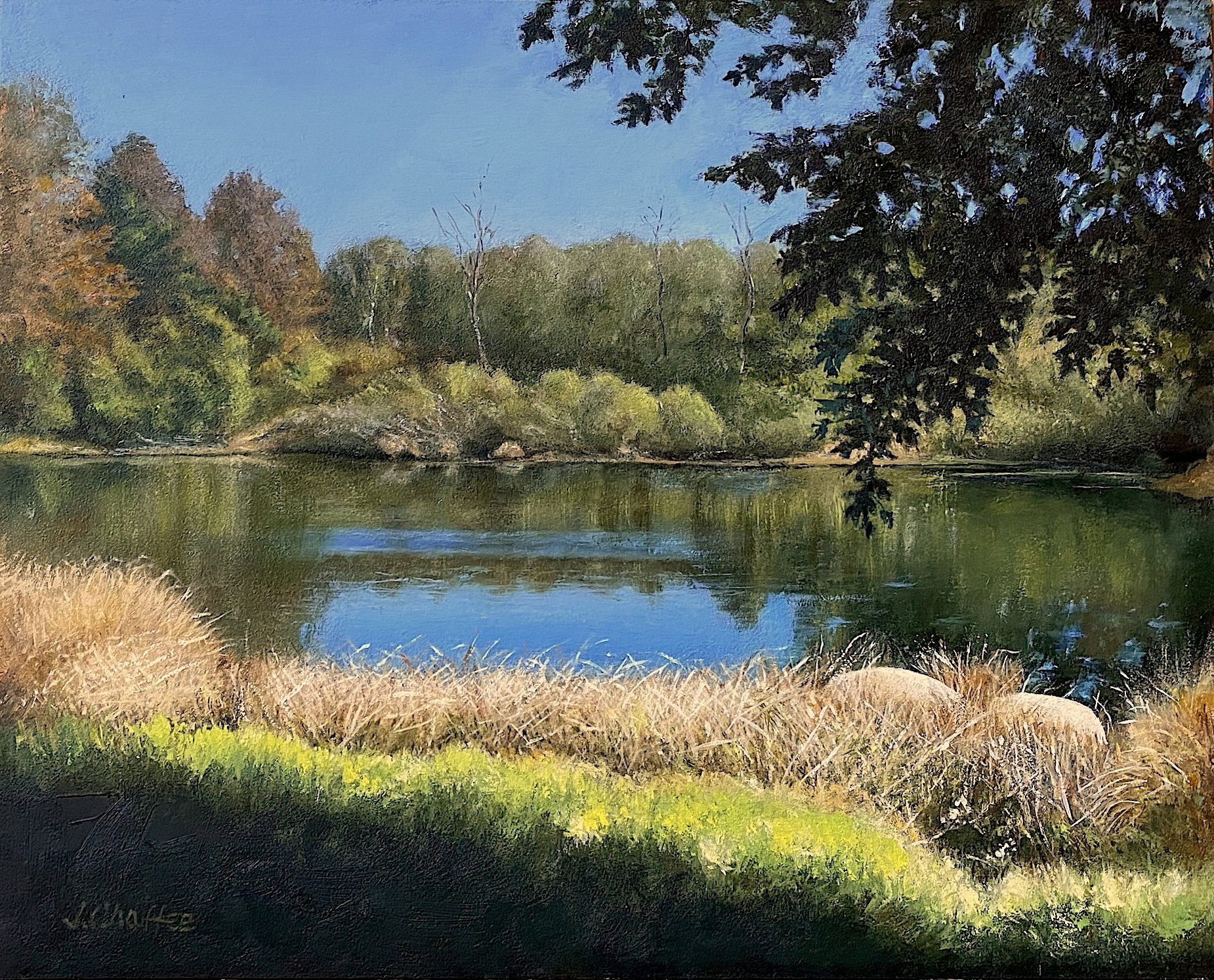 "Pond at Trail Wood 2"