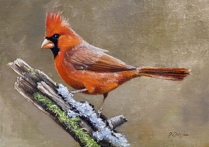 "Northern Male Cardinal on Lichen and Mossy Log",