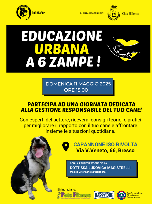 Educazione urbana a 6 zampe