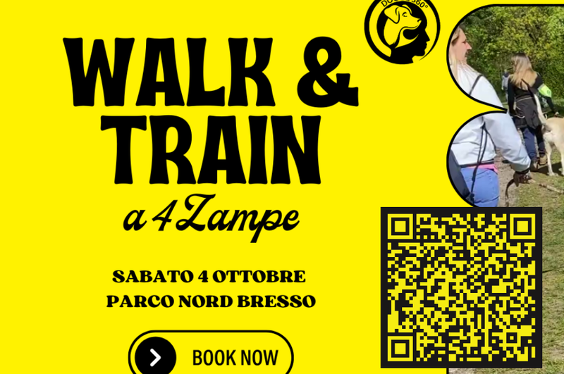 Walk & Train