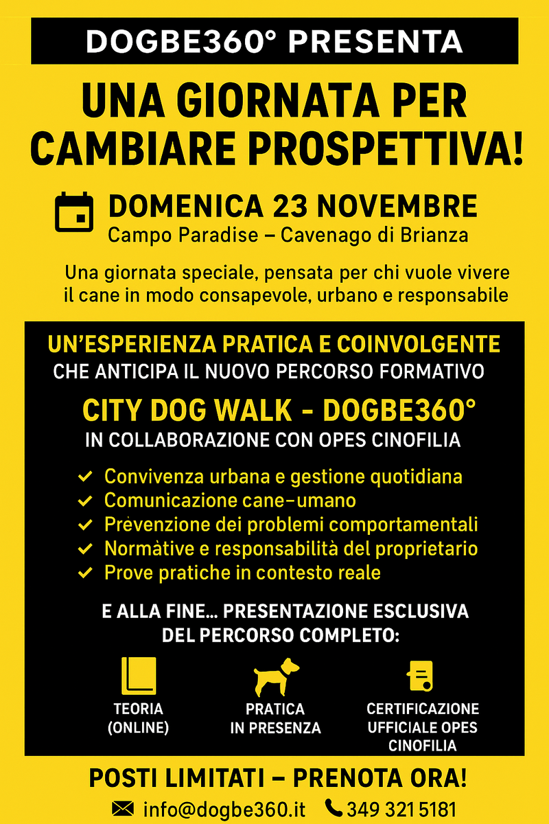 City dog Walk DOGBE360°