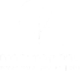 שרית קירמאיר, רו"ח