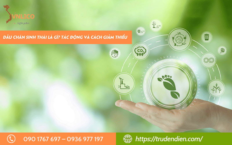 Dấu chân sinh thái là gì? Tác động và cách giảm thiểu