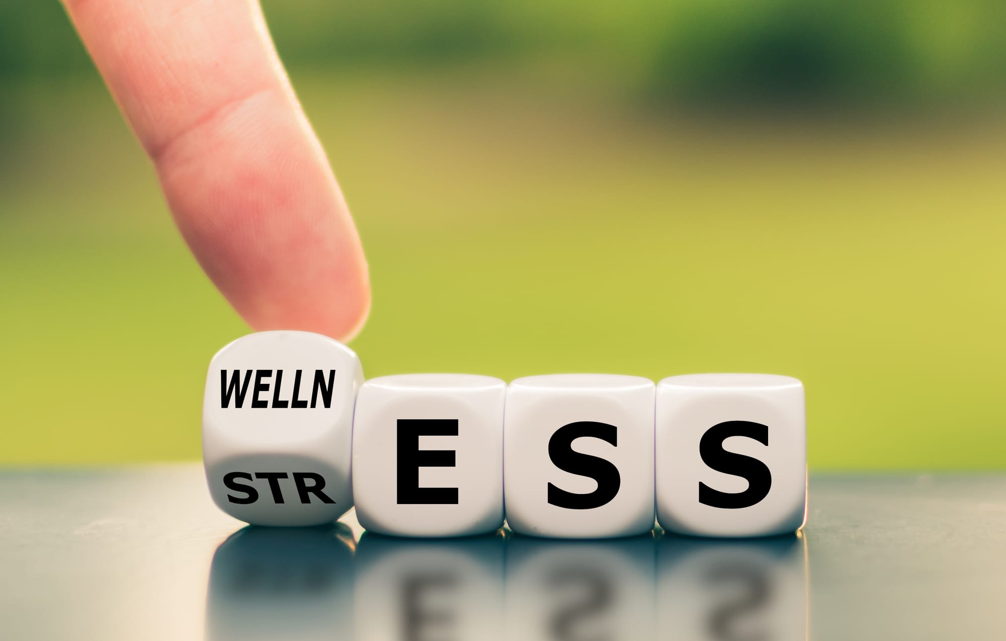 Why Mental Health Is Just As Important As Academic Success