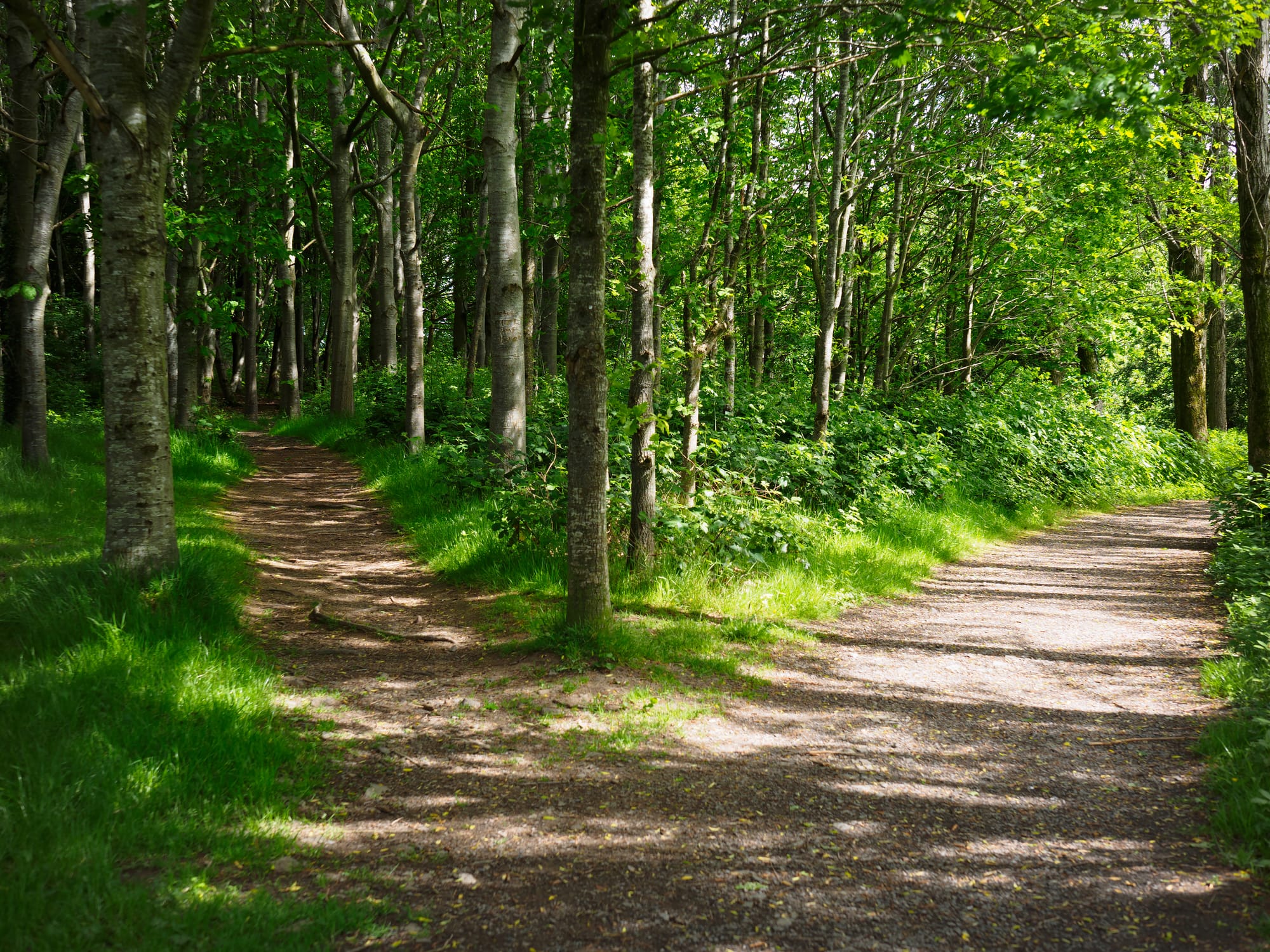 Finding Purpose in Your Studies: Connecting your Education to Your Future Goals