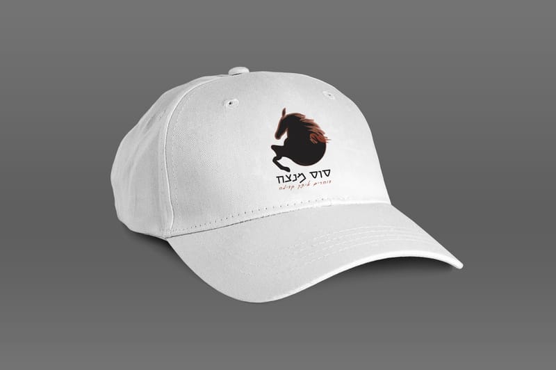 פרוייקט גמר עיצוב ותקשורת חזותית - בית ספר "פרוג"