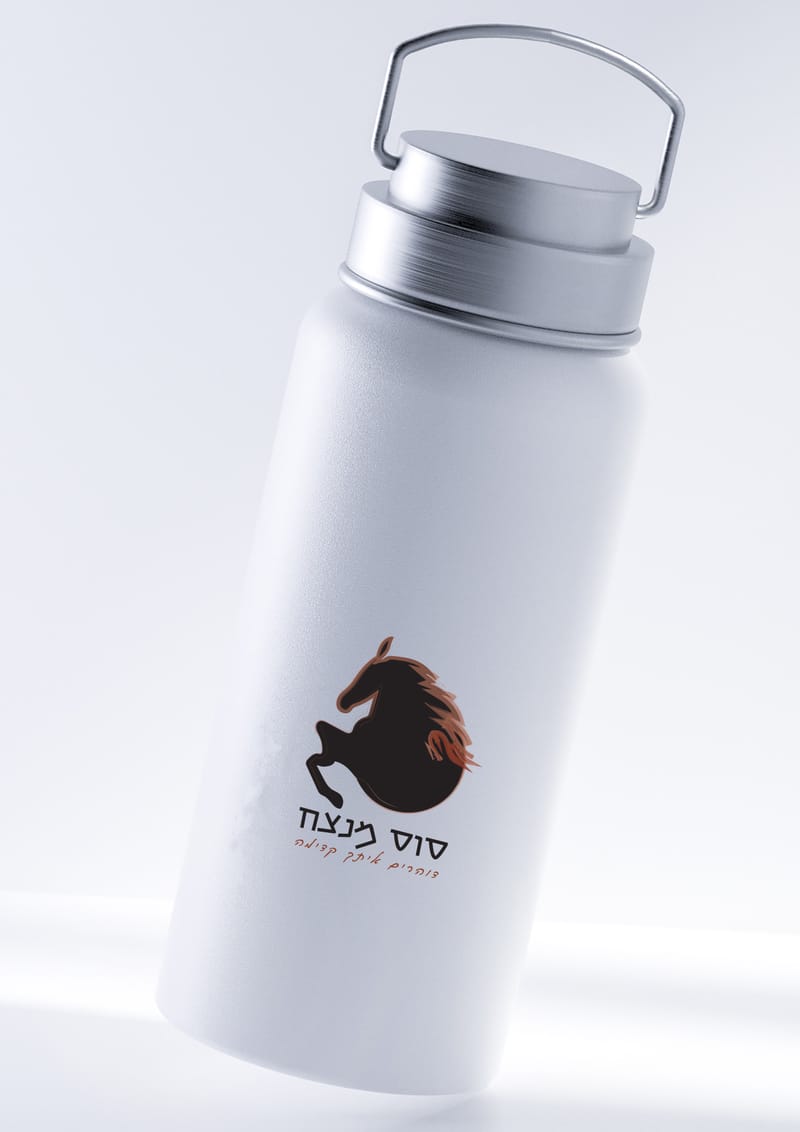 פרוייקט גמר עיצוב ותקשורת חזותית - בית ספר "פרוג"