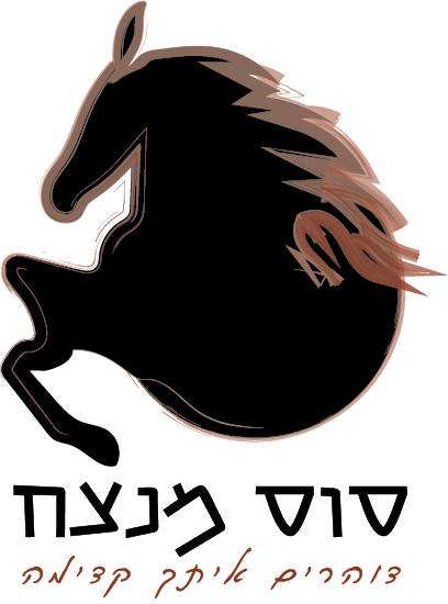 פרוייקט גמר עיצוב ותקשורת חזותית - בית ספר "פרוג"