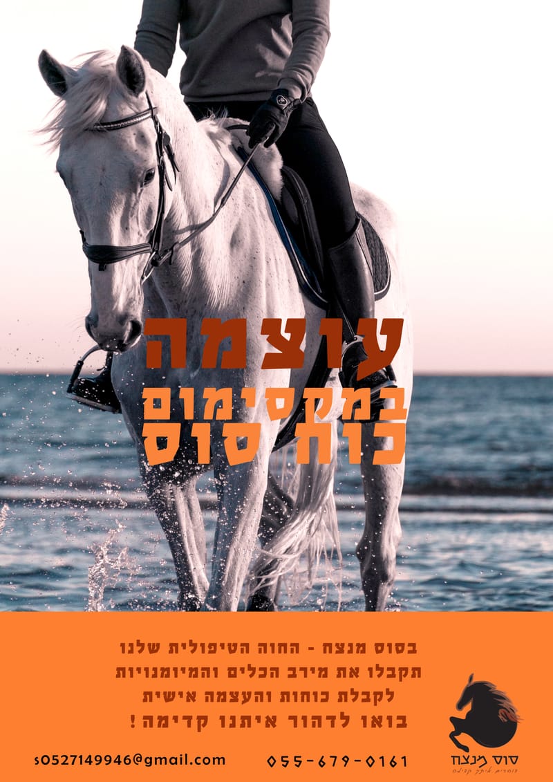 פרוייקט גמר עיצוב ותקשורת חזותית - בית ספר "פרוג"