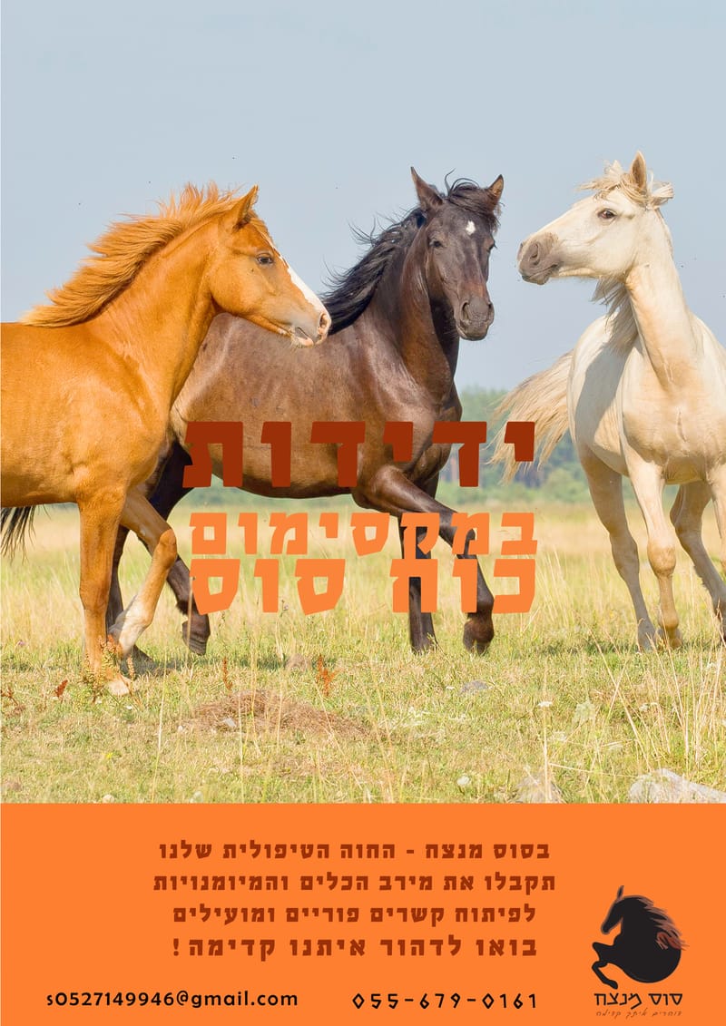 פרוייקט גמר עיצוב ותקשורת חזותית - בית ספר "פרוג"