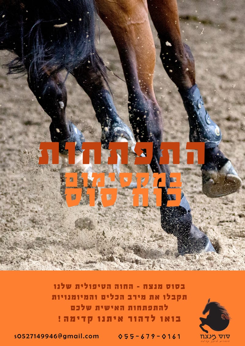 פרוייקט גמר עיצוב ותקשורת חזותית - בית ספר "פרוג"