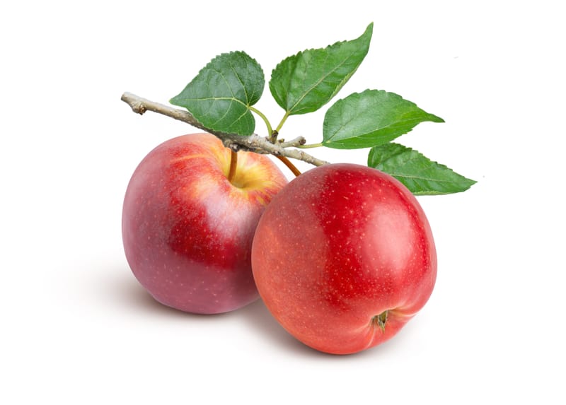 Chaque semaine un nouvel essai