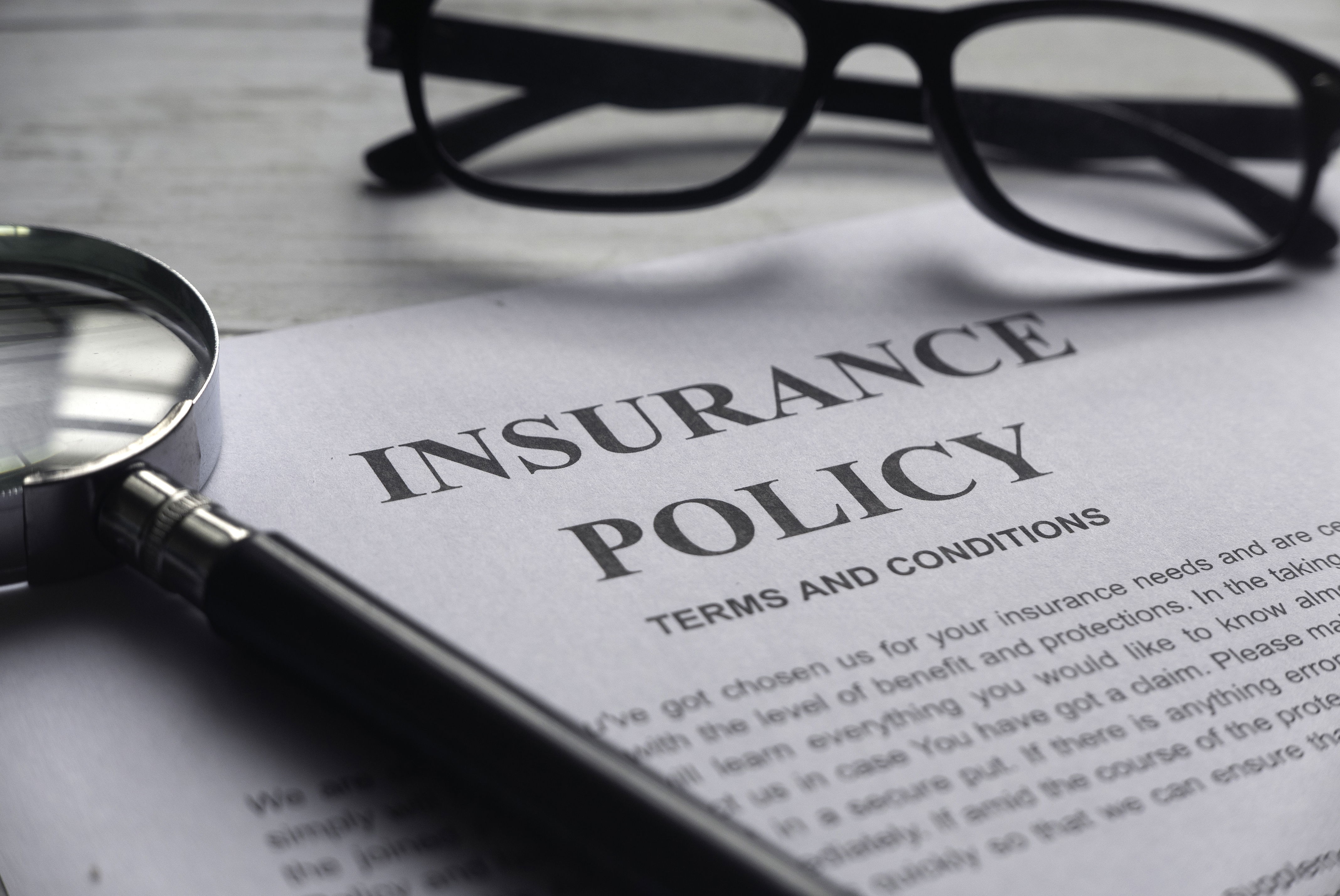 Displayed is a typical rehab insurance policy.