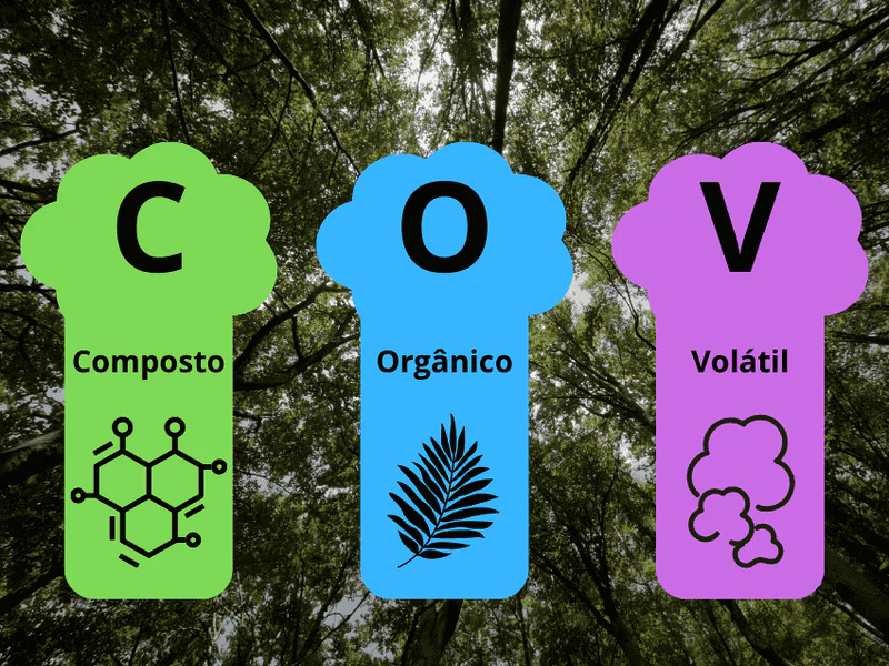 Estudo de Emissões de VOCs: Como Proteger o Meio Ambiente e Atender às Exigências Legais