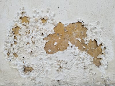 12 خطوة احترافية لمعالجة الرطوبة وتقشر الدهان قبل إعادة الطلاء