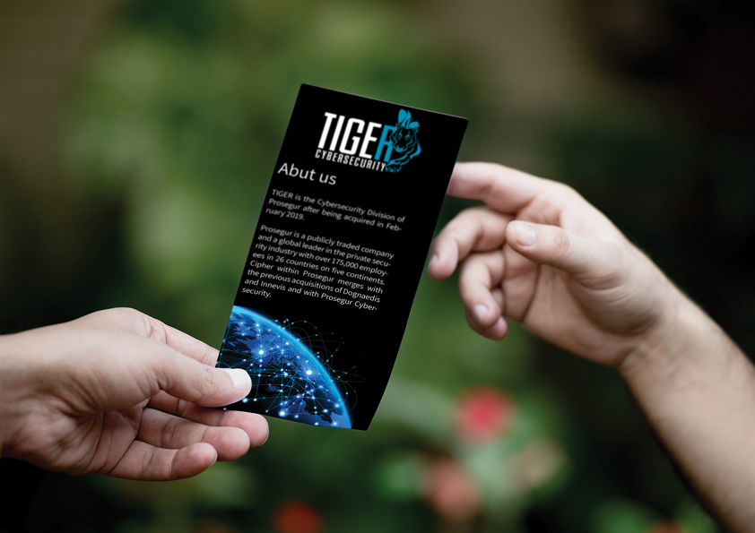 פליירים וברושור