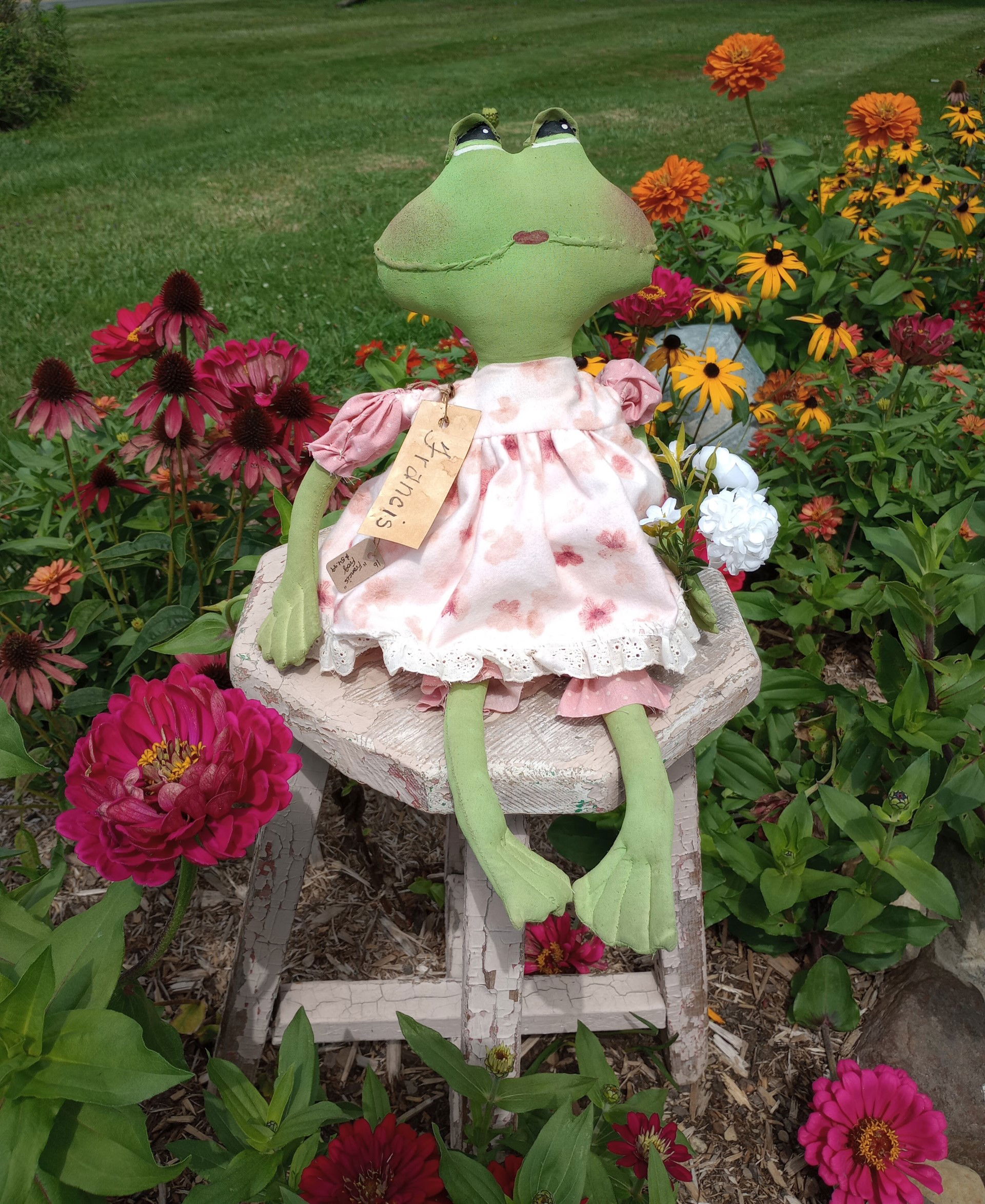 Francis Frog