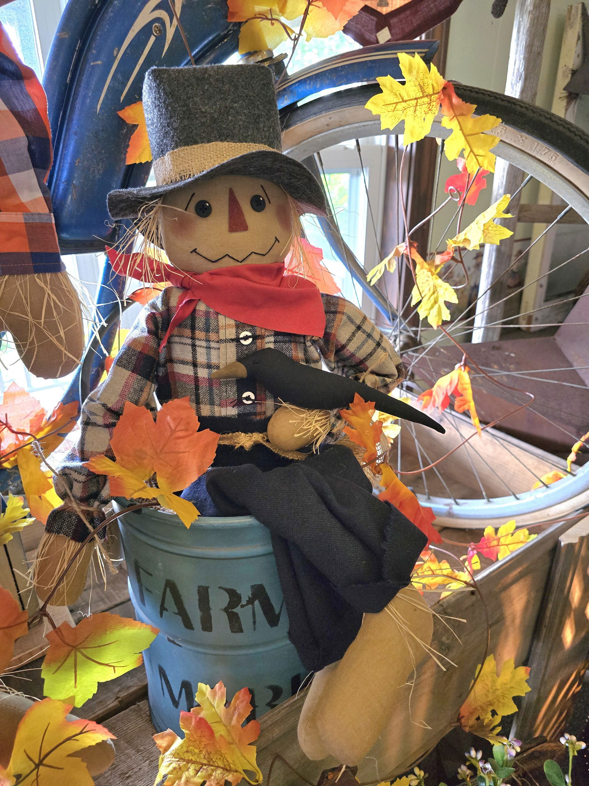 Ziggy Scarecrow
