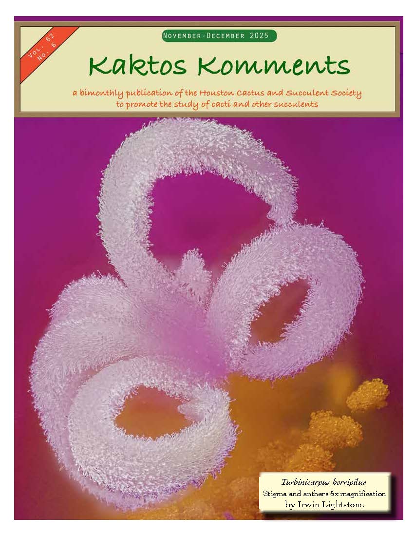 Kaktos Komments Vol 62, No 6