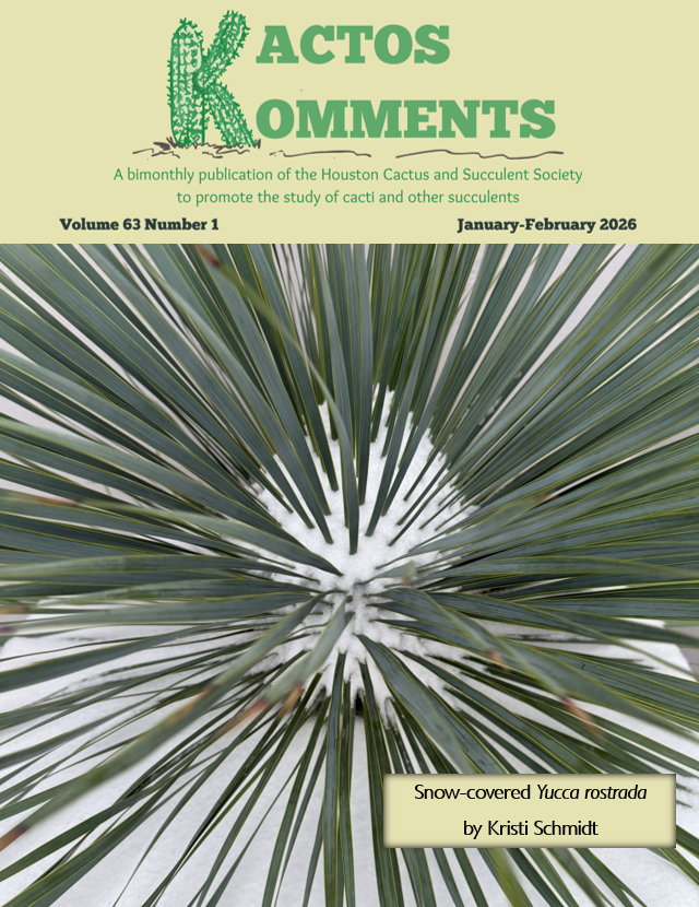 Kaktos Komments Vol 63, No 1